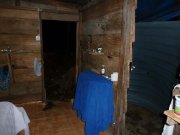 forest hotel accommodation