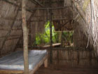 dominica jungle hotel accommodation