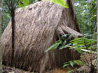 outside view of dominica jungle lodge
