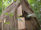 jungle lodge doorway