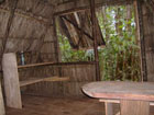 rainforest lodge
