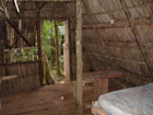 Carbet carib jungle lodge dominica