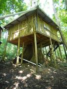 chataniere lodge dominica treehouse entrance