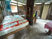 jungle lodge treehouse
