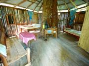 treehouse jungle lodge