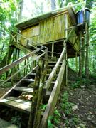 tree house