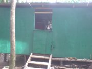 dominica budget travel room