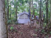 camping in dominica