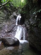 flocky's twin falls