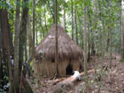 mwena jungle accommodation dominica
