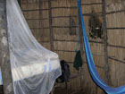 jungle lodge bedroom