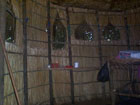 jungle accommodation storage
