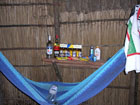 forest accommodation hammock
