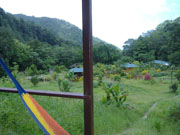 dominica eco accommodation ocean view