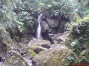 spacefalls dominica
