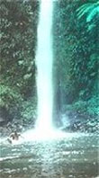 spanny falls dominica