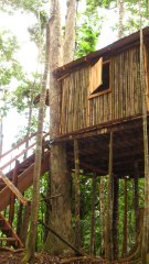 bamboo treehouse accommodation