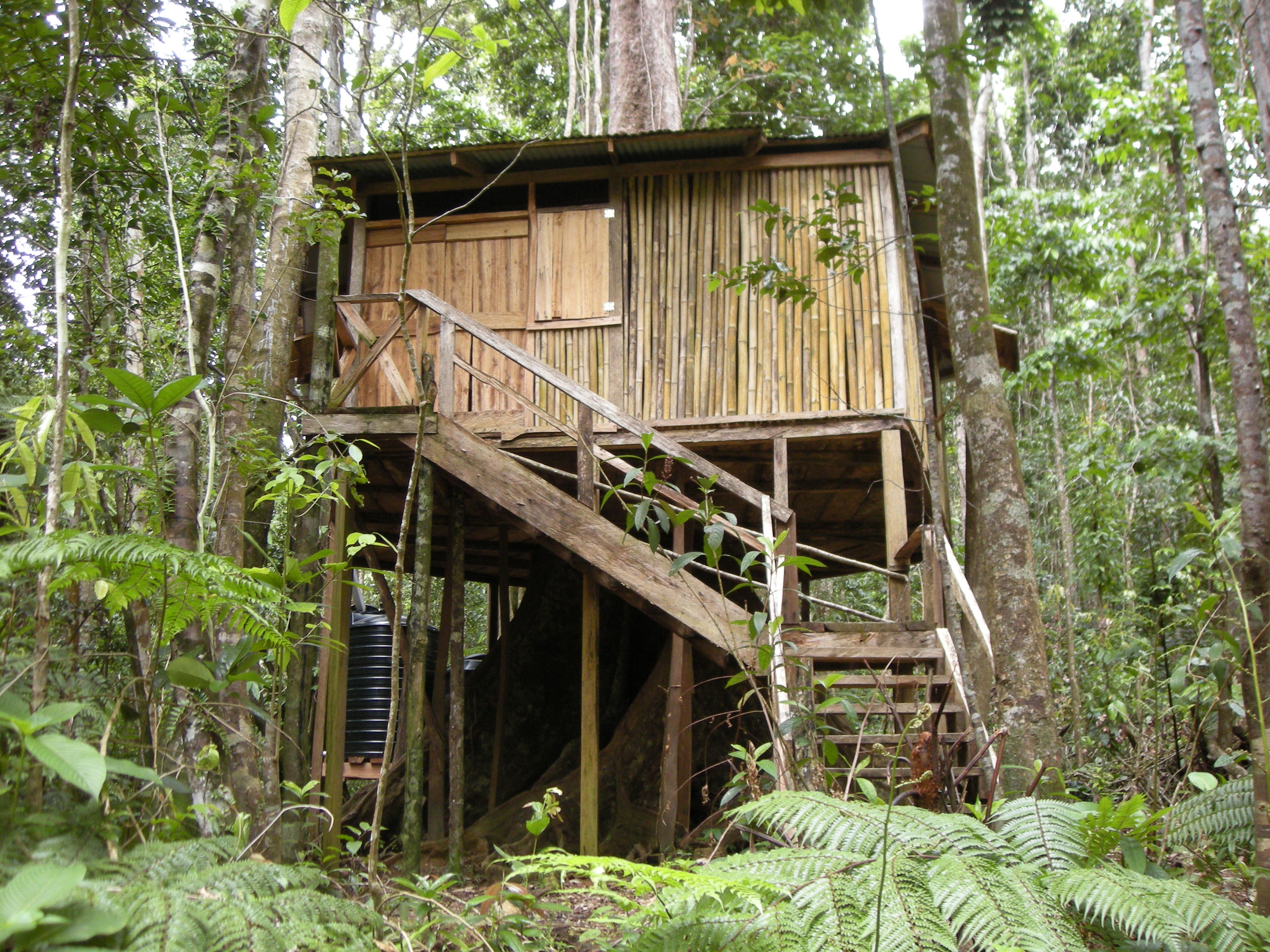 Chataniere Lodge Tree House Welcome To Rosalie Forest Eco Lodge