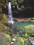 emerald_pool dominica