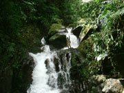 space_falls dominica